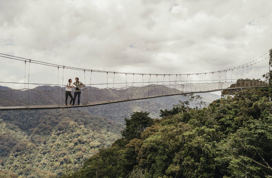 Canopy Walkway (Nyungwe), Nyungwe Forest, Rwanda